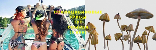 альфа пвп Покачи