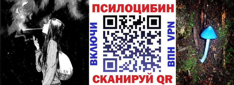 гидра Кирс Псилоцибиновые грибы Psilocybe